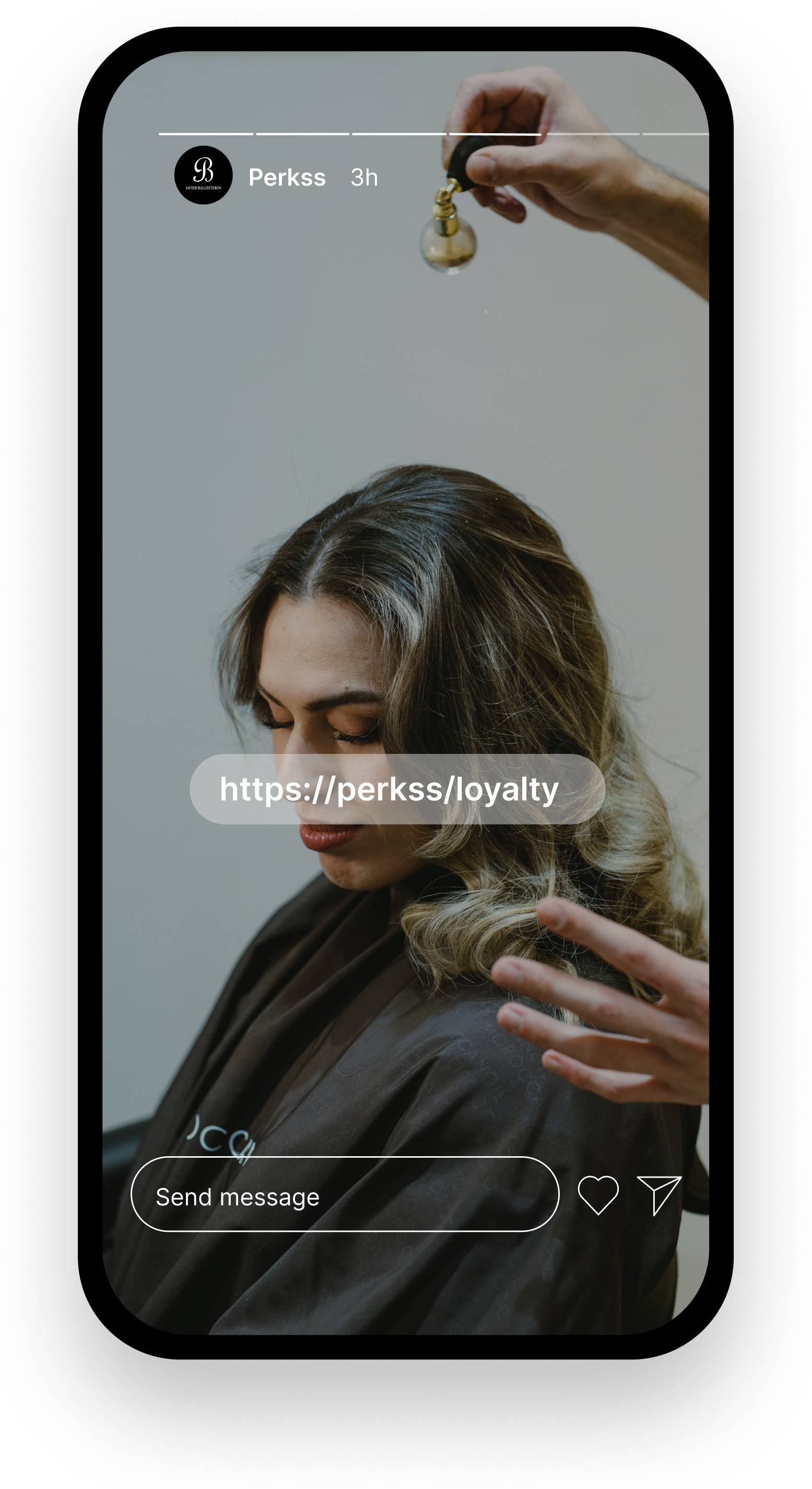 Imagen del carrusel 4